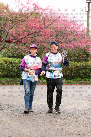 2026左岸竹東櫻花馬拉松Zhudong Sakura Marathon