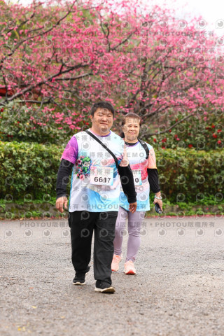 2026左岸竹東櫻花馬拉松Zhudong Sakura Marathon