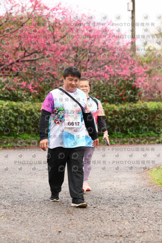 2026左岸竹東櫻花馬拉松Zhudong Sakura Marathon