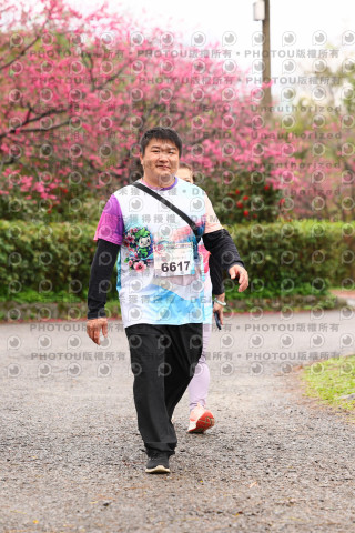 2026左岸竹東櫻花馬拉松Zhudong Sakura Marathon