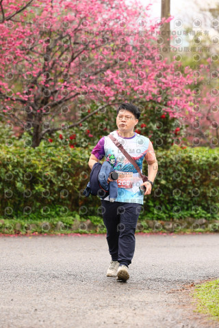 2026左岸竹東櫻花馬拉松Zhudong Sakura Marathon