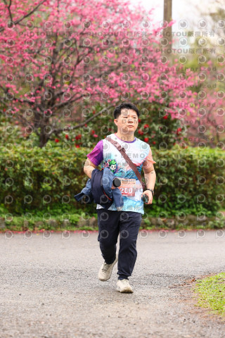 2026左岸竹東櫻花馬拉松Zhudong Sakura Marathon