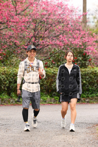 2026左岸竹東櫻花馬拉松Zhudong Sakura Marathon