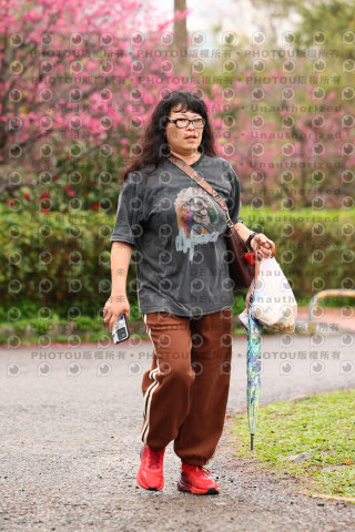 2026左岸竹東櫻花馬拉松Zhudong Sakura Marathon