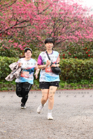 2026左岸竹東櫻花馬拉松Zhudong Sakura Marathon