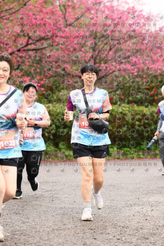 2026左岸竹東櫻花馬拉松Zhudong Sakura Marathon