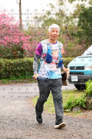 2026左岸竹東櫻花馬拉松Zhudong Sakura Marathon