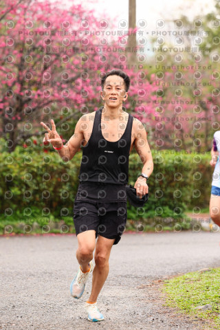 2026左岸竹東櫻花馬拉松Zhudong Sakura Marathon