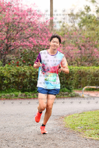 2026左岸竹東櫻花馬拉松Zhudong Sakura Marathon