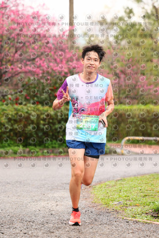 2026左岸竹東櫻花馬拉松Zhudong Sakura Marathon