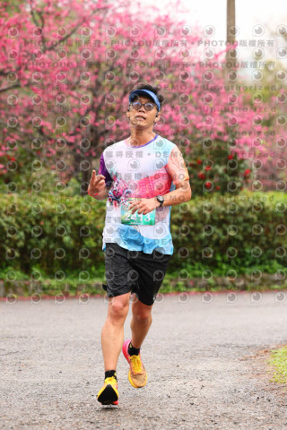 2026左岸竹東櫻花馬拉松Zhudong Sakura Marathon