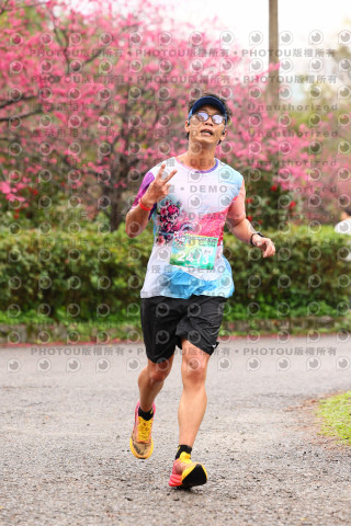 2026左岸竹東櫻花馬拉松Zhudong Sakura Marathon