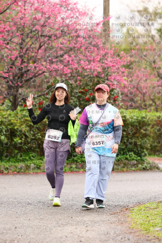 2026左岸竹東櫻花馬拉松Zhudong Sakura Marathon