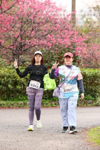 2026左岸竹東櫻花馬拉松Zhudong Sakura Marathon