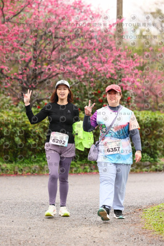 2026左岸竹東櫻花馬拉松Zhudong Sakura Marathon