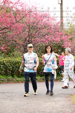 2026左岸竹東櫻花馬拉松Zhudong Sakura Marathon
