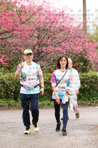 2026左岸竹東櫻花馬拉松Zhudong Sakura Marathon