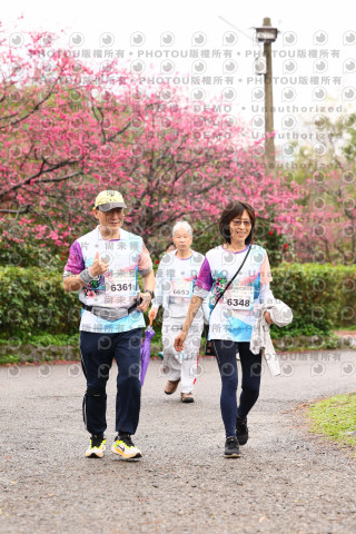 2026左岸竹東櫻花馬拉松Zhudong Sakura Marathon