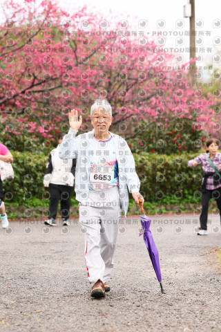 2026左岸竹東櫻花馬拉松Zhudong Sakura Marathon
