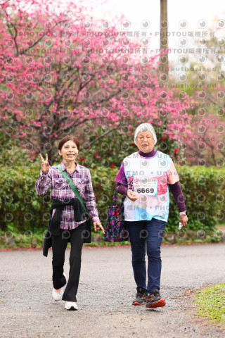 2026左岸竹東櫻花馬拉松Zhudong Sakura Marathon