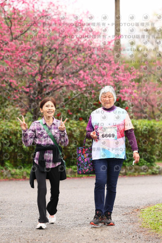 2026左岸竹東櫻花馬拉松Zhudong Sakura Marathon