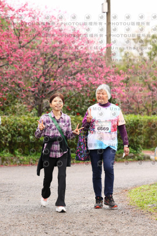 2026左岸竹東櫻花馬拉松Zhudong Sakura Marathon