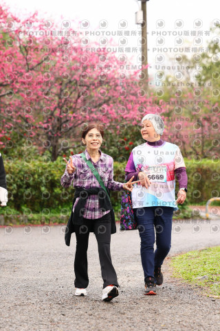 2026左岸竹東櫻花馬拉松Zhudong Sakura Marathon