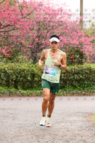 2026左岸竹東櫻花馬拉松Zhudong Sakura Marathon