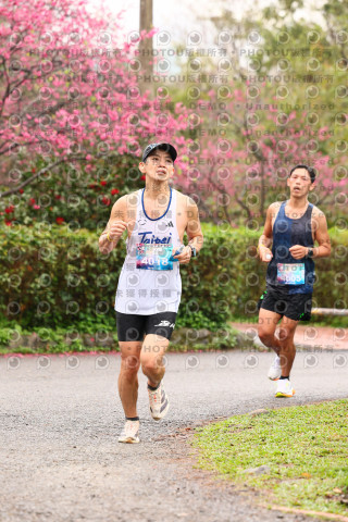 2026左岸竹東櫻花馬拉松Zhudong Sakura Marathon