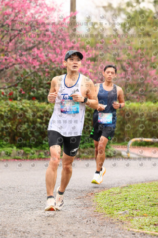2026左岸竹東櫻花馬拉松Zhudong Sakura Marathon