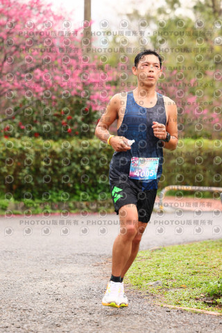 2026左岸竹東櫻花馬拉松Zhudong Sakura Marathon