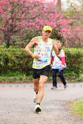 2026左岸竹東櫻花馬拉松Zhudong Sakura Marathon