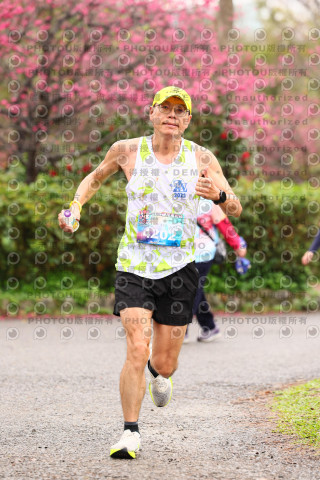 2026左岸竹東櫻花馬拉松Zhudong Sakura Marathon