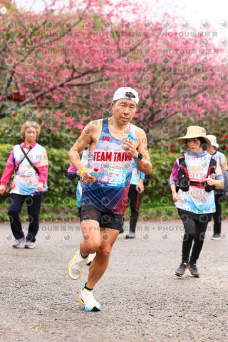 2026左岸竹東櫻花馬拉松Zhudong Sakura Marathon