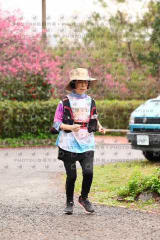 2026左岸竹東櫻花馬拉松Zhudong Sakura Marathon