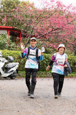 2026左岸竹東櫻花馬拉松Zhudong Sakura Marathon