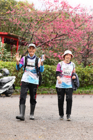 2026左岸竹東櫻花馬拉松Zhudong Sakura Marathon