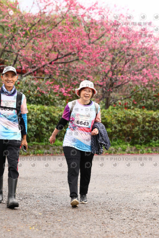2026左岸竹東櫻花馬拉松Zhudong Sakura Marathon