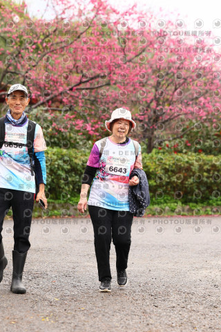 2026左岸竹東櫻花馬拉松Zhudong Sakura Marathon