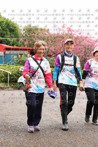 2026左岸竹東櫻花馬拉松Zhudong Sakura Marathon