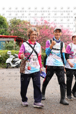 2026左岸竹東櫻花馬拉松Zhudong Sakura Marathon