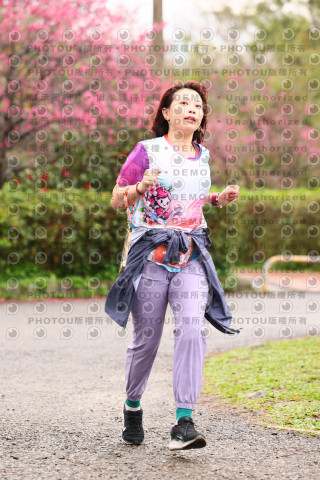 2026左岸竹東櫻花馬拉松Zhudong Sakura Marathon