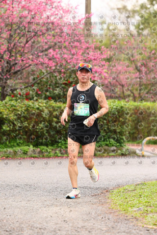 2026左岸竹東櫻花馬拉松Zhudong Sakura Marathon