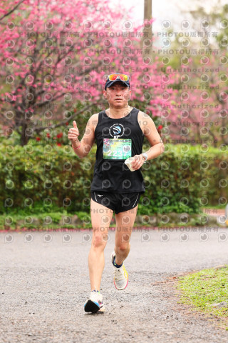 2026左岸竹東櫻花馬拉松Zhudong Sakura Marathon