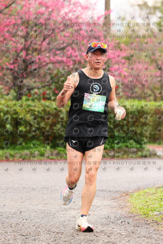2026左岸竹東櫻花馬拉松Zhudong Sakura Marathon