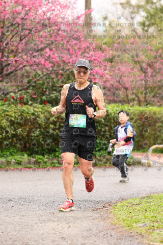 2026左岸竹東櫻花馬拉松Zhudong Sakura Marathon