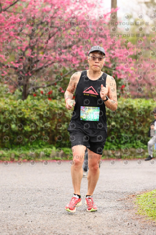 2026左岸竹東櫻花馬拉松Zhudong Sakura Marathon