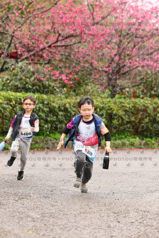 2026左岸竹東櫻花馬拉松Zhudong Sakura Marathon