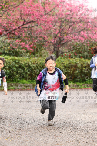 2026左岸竹東櫻花馬拉松Zhudong Sakura Marathon