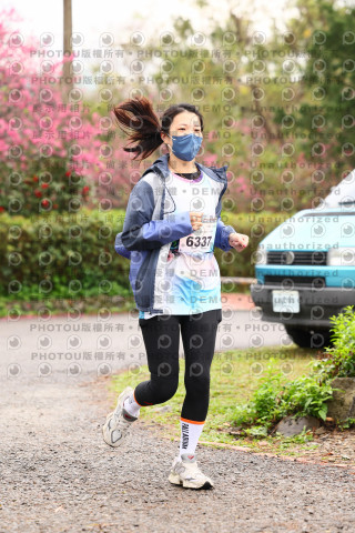 2026左岸竹東櫻花馬拉松Zhudong Sakura Marathon